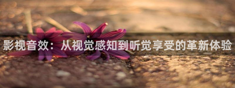 新视觉影视6080免费：影视音效：从视觉感知到听觉享受的革新体验