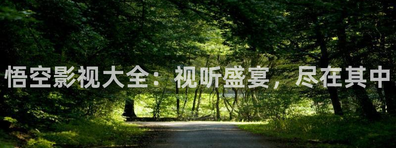 qq6080新视觉：悟空影视大全：视听盛宴，尽在其中