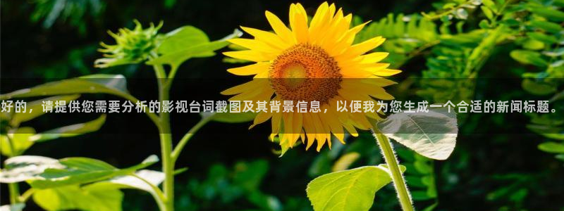 新视觉6080影院：好的，请提供您需要分析的影视台词截图及其背景信息，以便我为您生成一个合适的新闻标题。