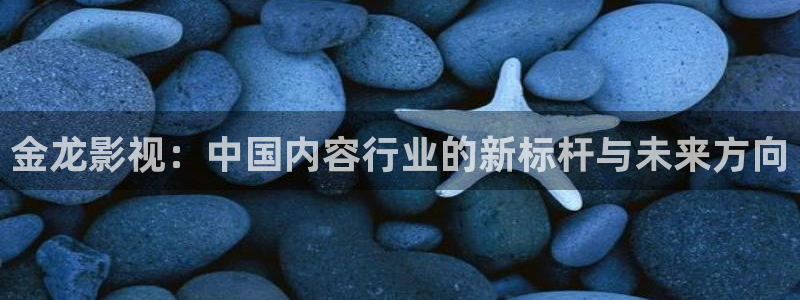 6080新视觉影院年轻的母亲：金龙影视：中国内容行业的新标杆与未来方向