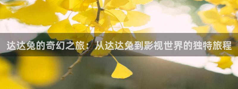 新视觉影院私人影院：达达兔的奇幻之旅：从达达兔到影视世界的独特旅程