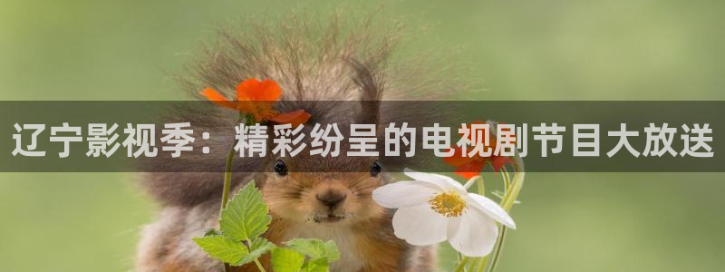 6080新视觉影视热播电视剧：辽宁影视季：精彩纷呈的电视剧节目大放送