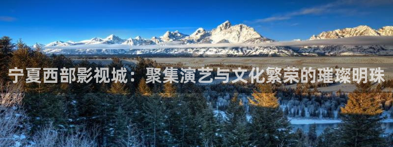 新视觉6080官网下载：宁夏西部影视城：聚集演艺与文化繁荣的璀璨明珠