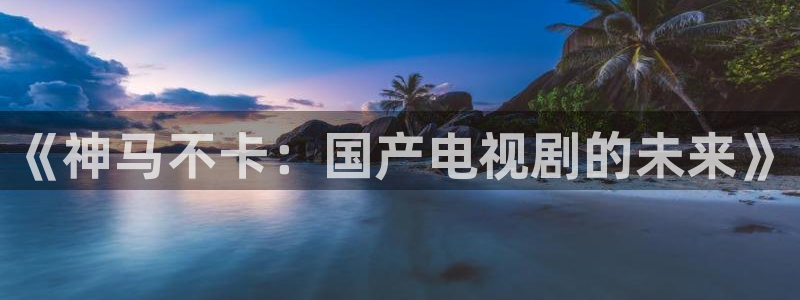 6080新视觉yy午夜：《神马不卡：国产电视剧的未来》