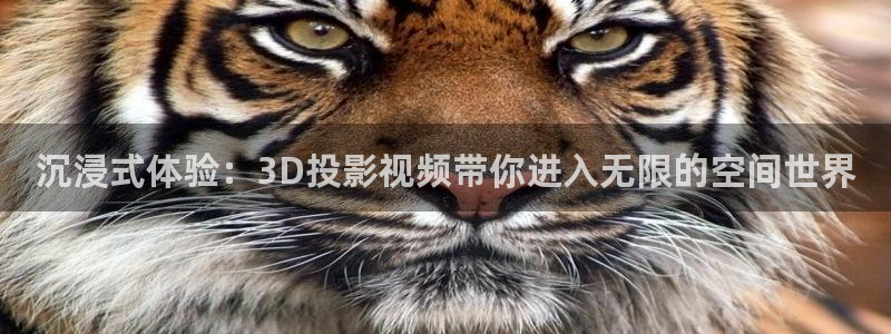 新视觉6080高清视频：沉浸式体验：3D投影视频带你进入无限的空间世界
