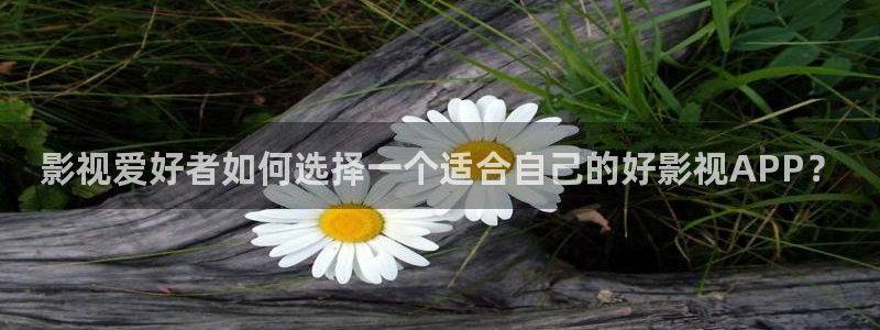 6080新视觉电影免费播放：影视爱好者如何选择一个适合自己的好影视APP？